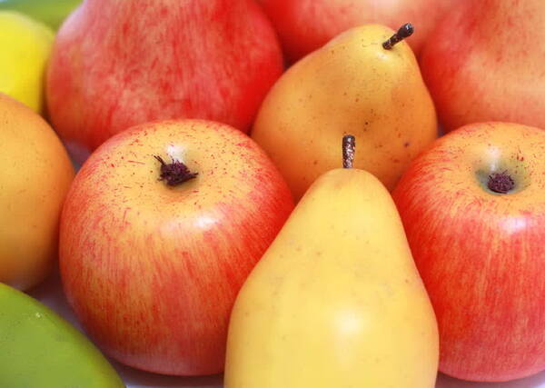 Урожайность плодово-ягодных культур в Брянской области выросла в 4,5 раза