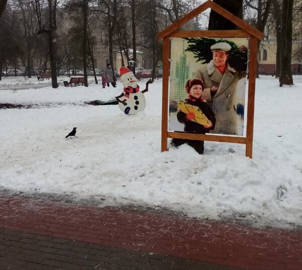 Отмену новогодних гуляний поддержали большинство брянцев