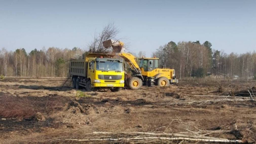 В этом году в сельхозоборот Брянщины вовлечено 54 тысячи га земель