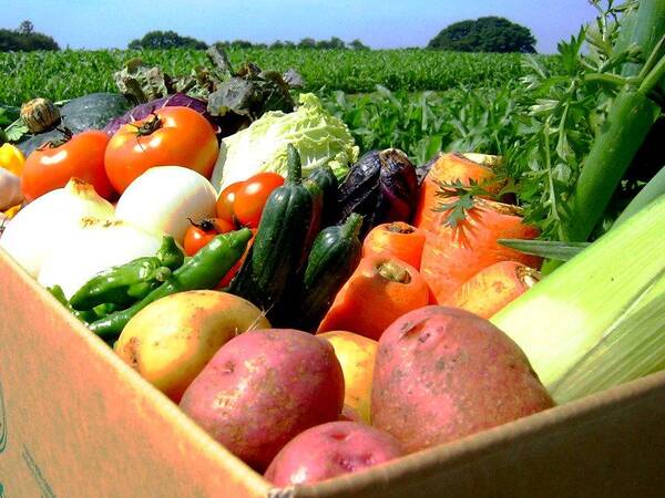 Внешнеторговый оборот Брянщины за 10 месяцев этого года вырос до $126,2 млн