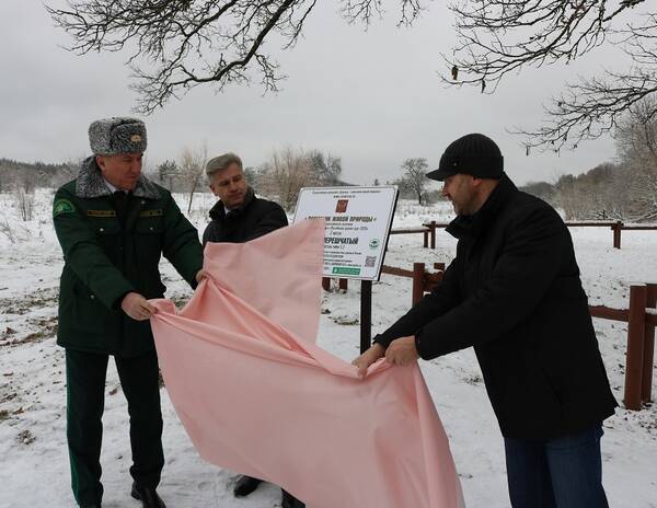 В навлинском селе Глинное у Партизанского дуба открыли памятный знак