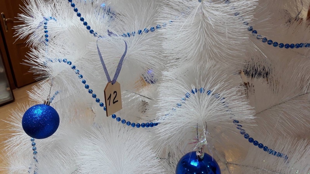 Брянская «Ёлка желаний» исполнила желания детей с ДЦП