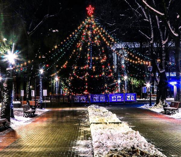 Брянский художник запечатлел на фото красоту главной новогодней елки