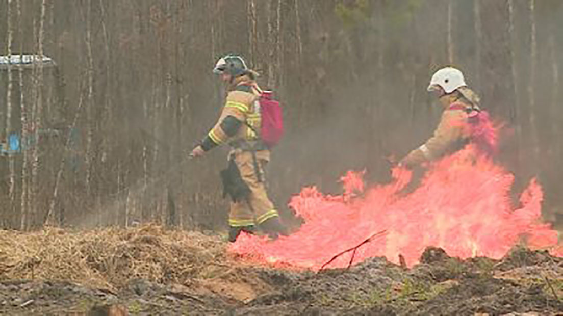 Лесопожарная служба Брянской области получила дополнительное оборудование