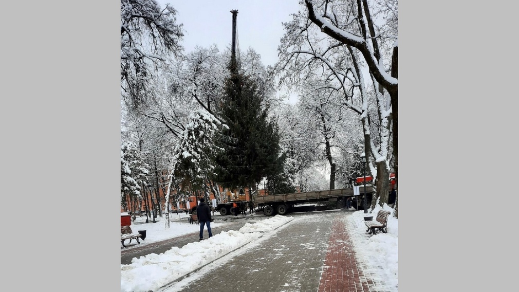 В Брянске установили главную новогоднюю ёлку в сквере Карла Маркса