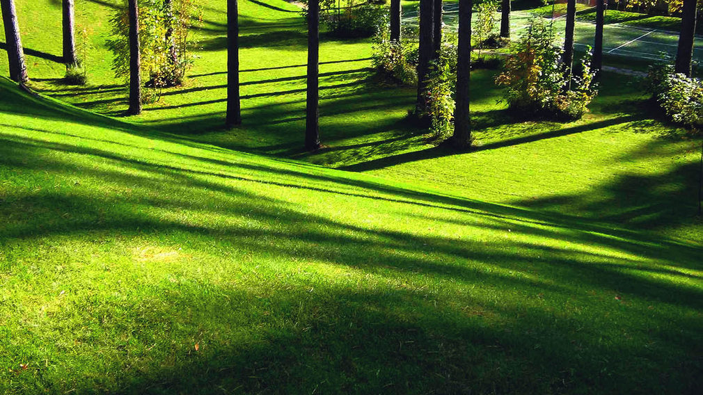 Брянские власти обустроят территорию около кинотеатра «Салют»