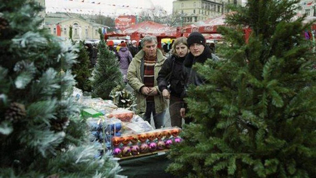 В Брянске с 19 декабря начнут работать ёлочные ярмарки