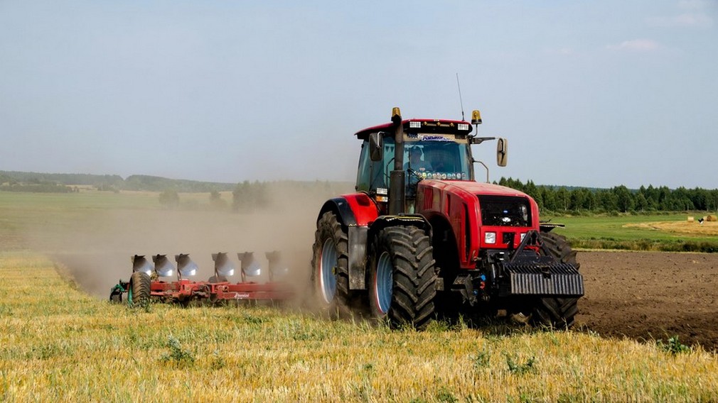 Белорусские магазины в Брянской области увеличивают товарооборот