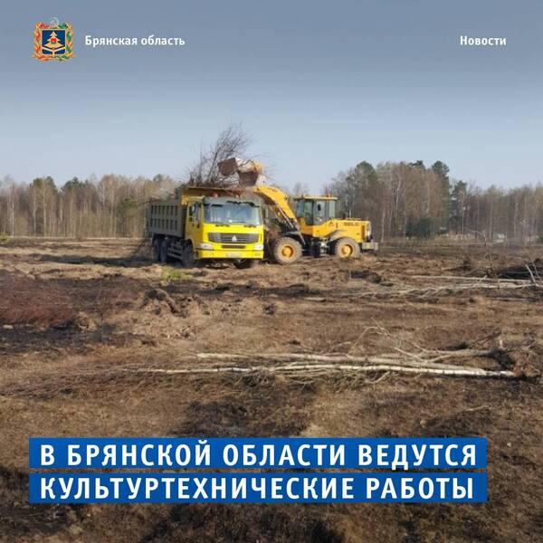 В этом году на Брянщине введено в сельхозоборот более 54 тыс га заброшенных земель