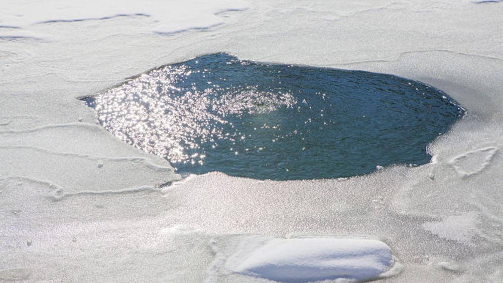 Жителей Брянской области предостерегли от новогодних опасностей