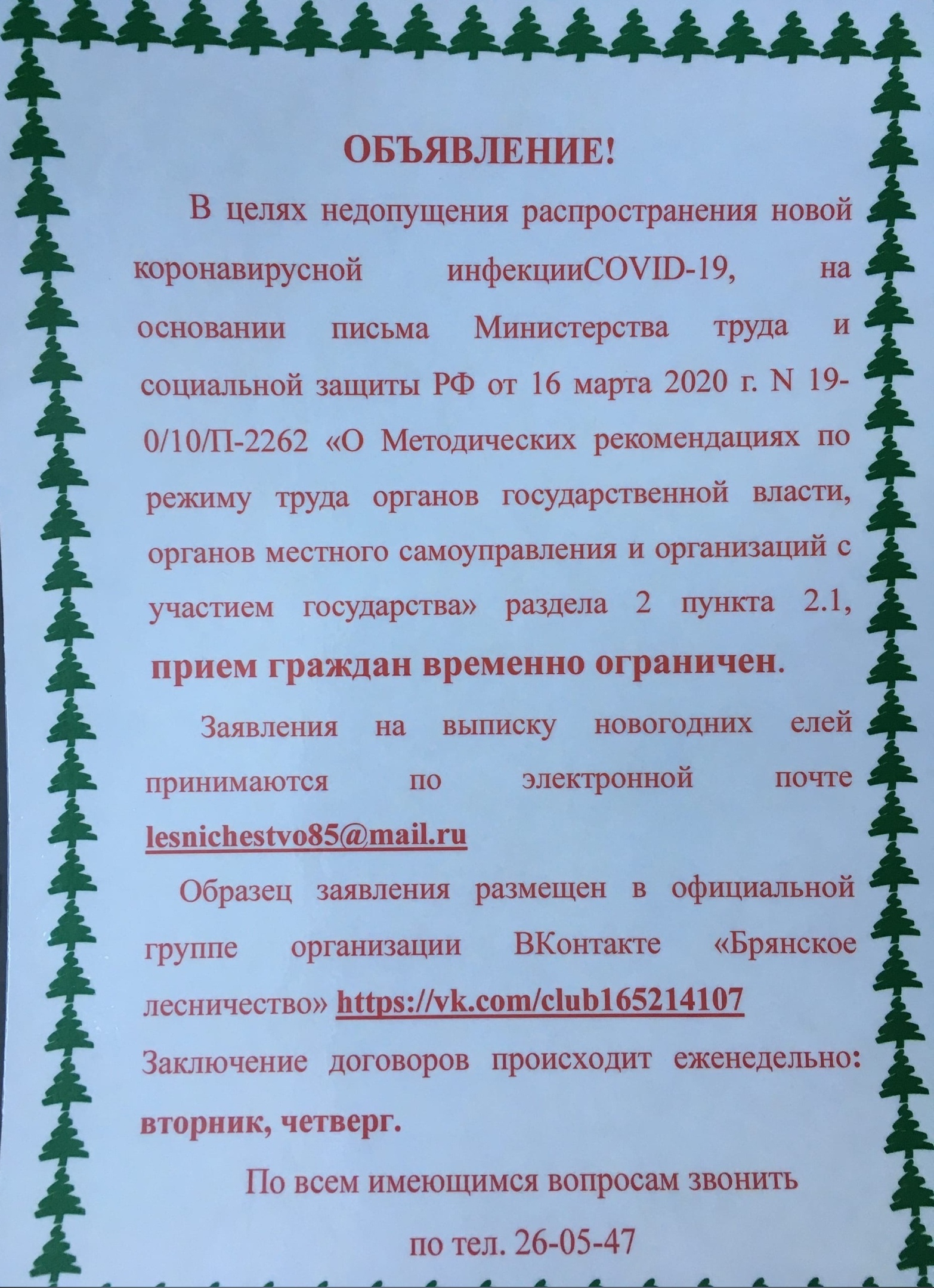 Брянцы в пандемию могут выписать новогоднюю елку по электронке