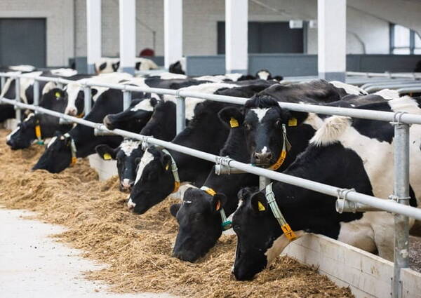 На Брянщине реализуют несколько масштабных инвестиционных проектов