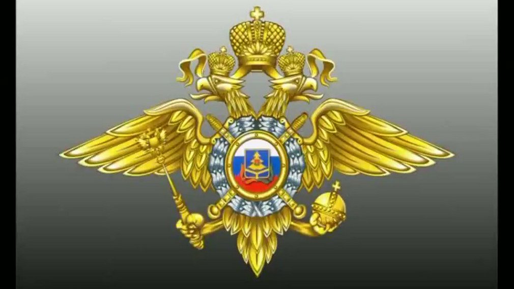 Брянская полиция напоминает об ответственности за участие в несогласованных акциях