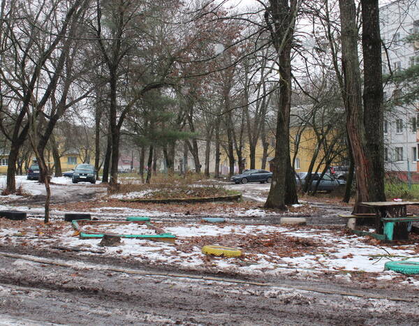 В брянском посёлке Мичуринский проведут благоустройство сквера «Садовый»