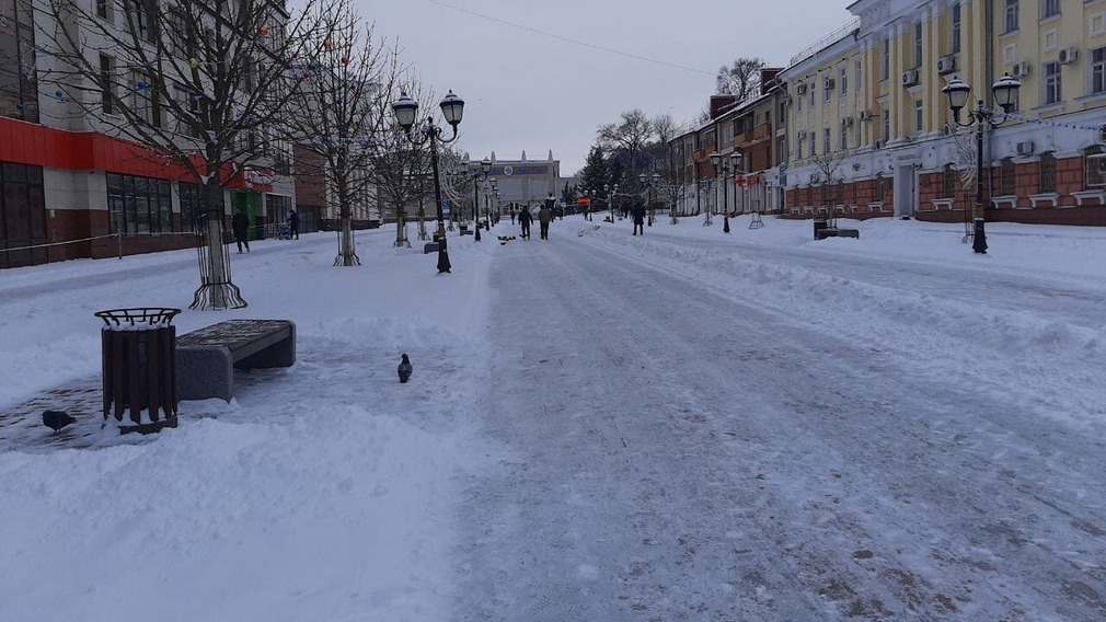 Брянская молодёжь проигнорировала незаконные акции