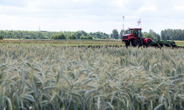 На Брянщине производство зерна — более 2 млн. тонн