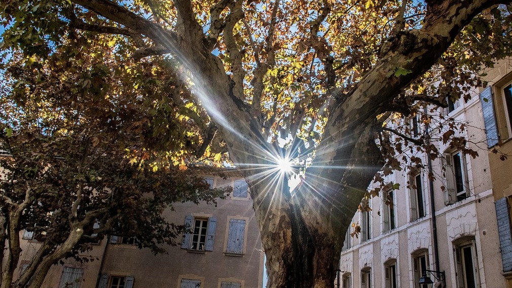 В Брянске благоустроят территорию двора на Новозыбковской улице