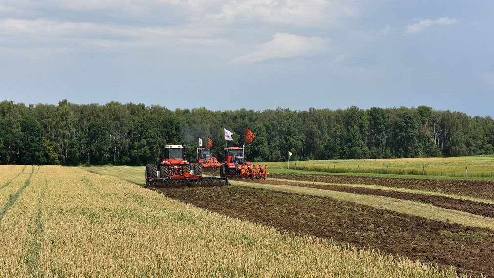 В феврале в Брянском ГАУ откроется «Школа фермеров»