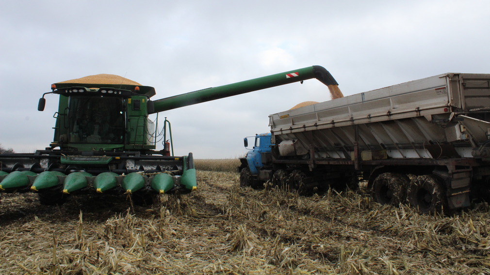 Сельхозпредприятия Стародубщины в прошлом году собрали рекордный урожай зерновых