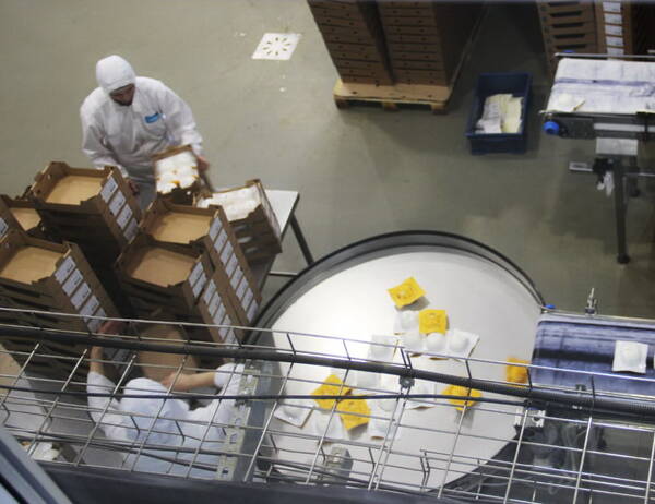 3 место в России занимает Брянщина по производству сыра