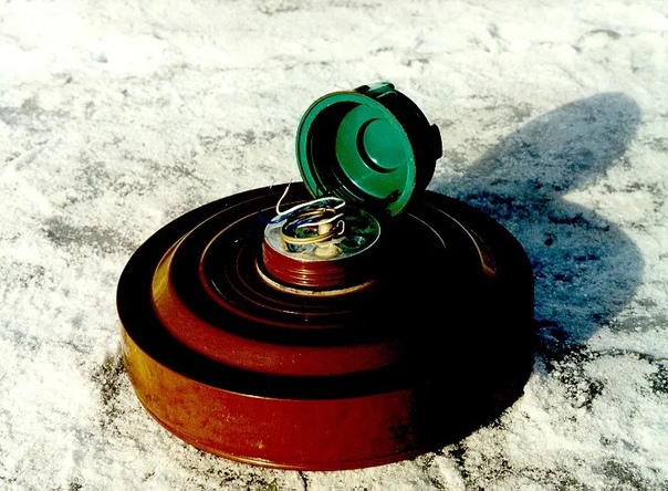 Брянские росгвардейцы обезвредили опасную находку