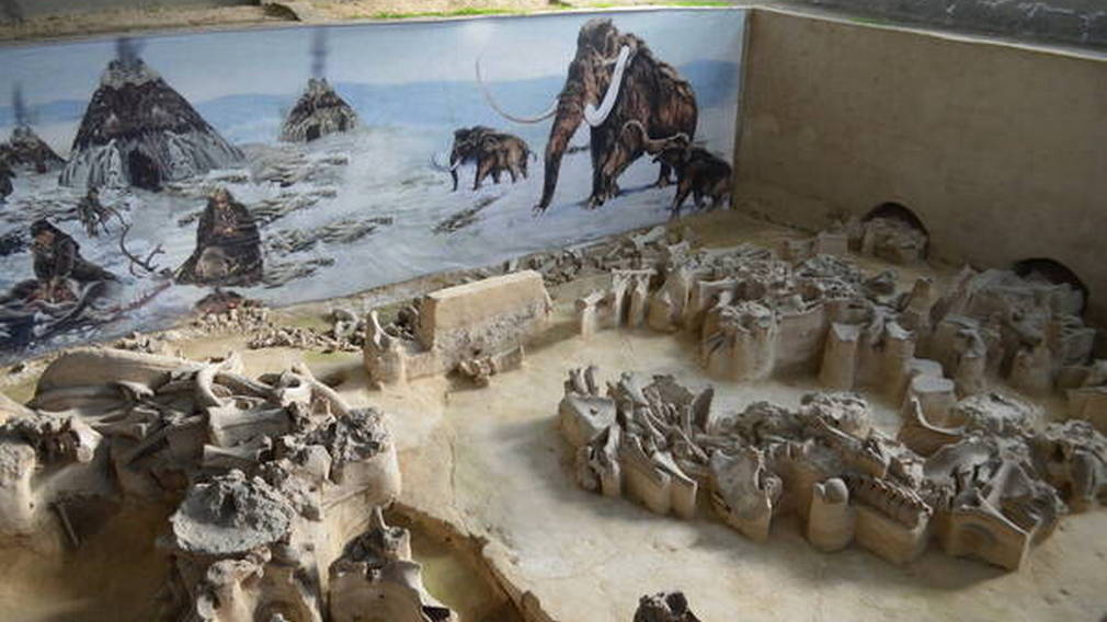 В этом году в планируется реконструкция брянского музея «Палеолит»