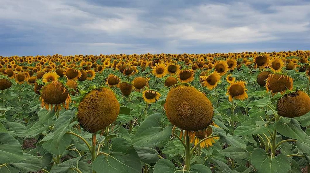 Николай Валуев рассказал, как улучшится качество жизни в брянской глубинке