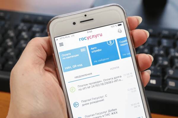 Жители Брянщины узнали о новых мобильных приложениях госуслуг