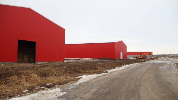 В Брасовском районе весной завершат строительство животноводческого комплекса