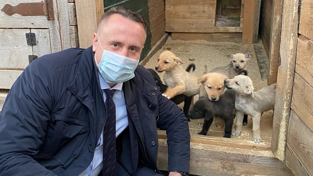 Брянский депутат Михаил Иванов бездомных кошек и собак  накормил