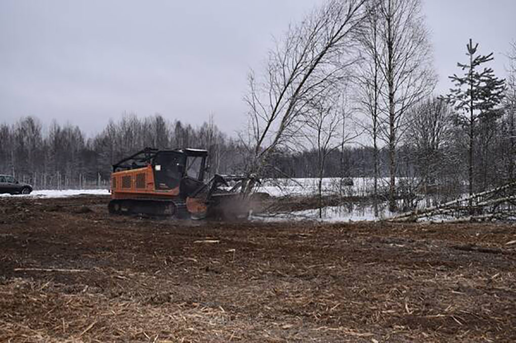В Клетнянском районе 150 га заброшенных земель задействуют под фруктовые сады