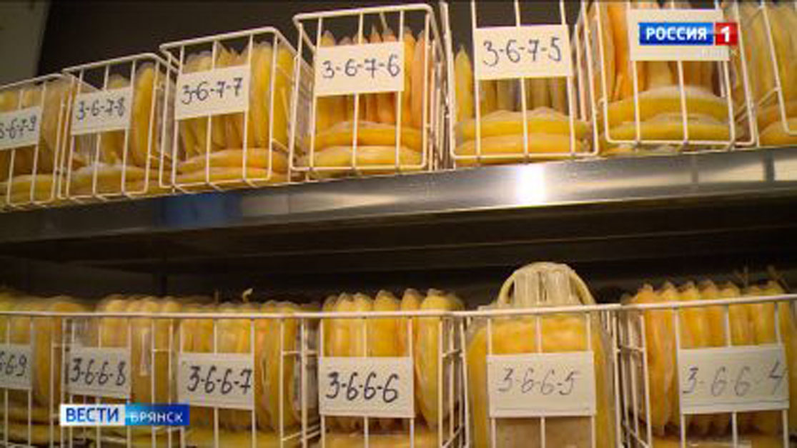 Заготовка антиковидной плазмы на станции переливания крови