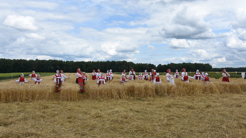 Более 400 млн рублей планируют выделить на развитие брянских сельских территорий