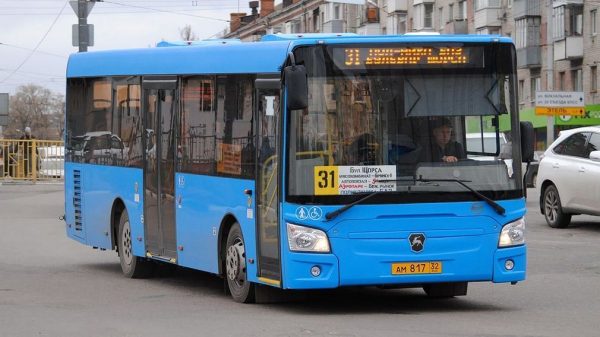 Автобусы и троллейбусы заменят пять отмененных маршруток в Брянске