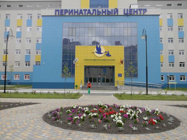 В Брянской области за год выполнено 783 процедуры ЭКО