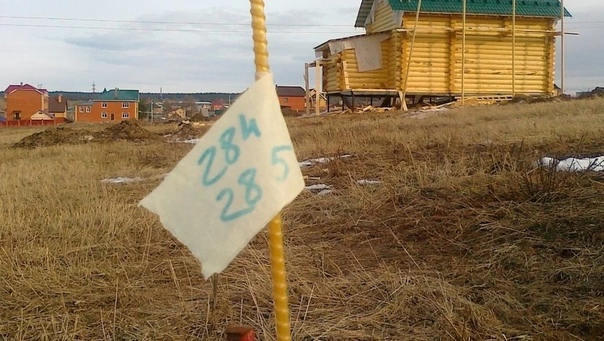 Под Брянском для многодетных семей выделили 257 гектаров земли