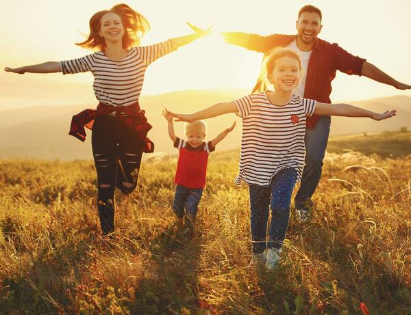 В Брянской области земельные участки получат более 11 тысяч многодетных семей