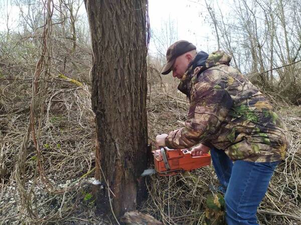 В деревне Меловое Погарского района Брянской области облагораживают чудотворный источник