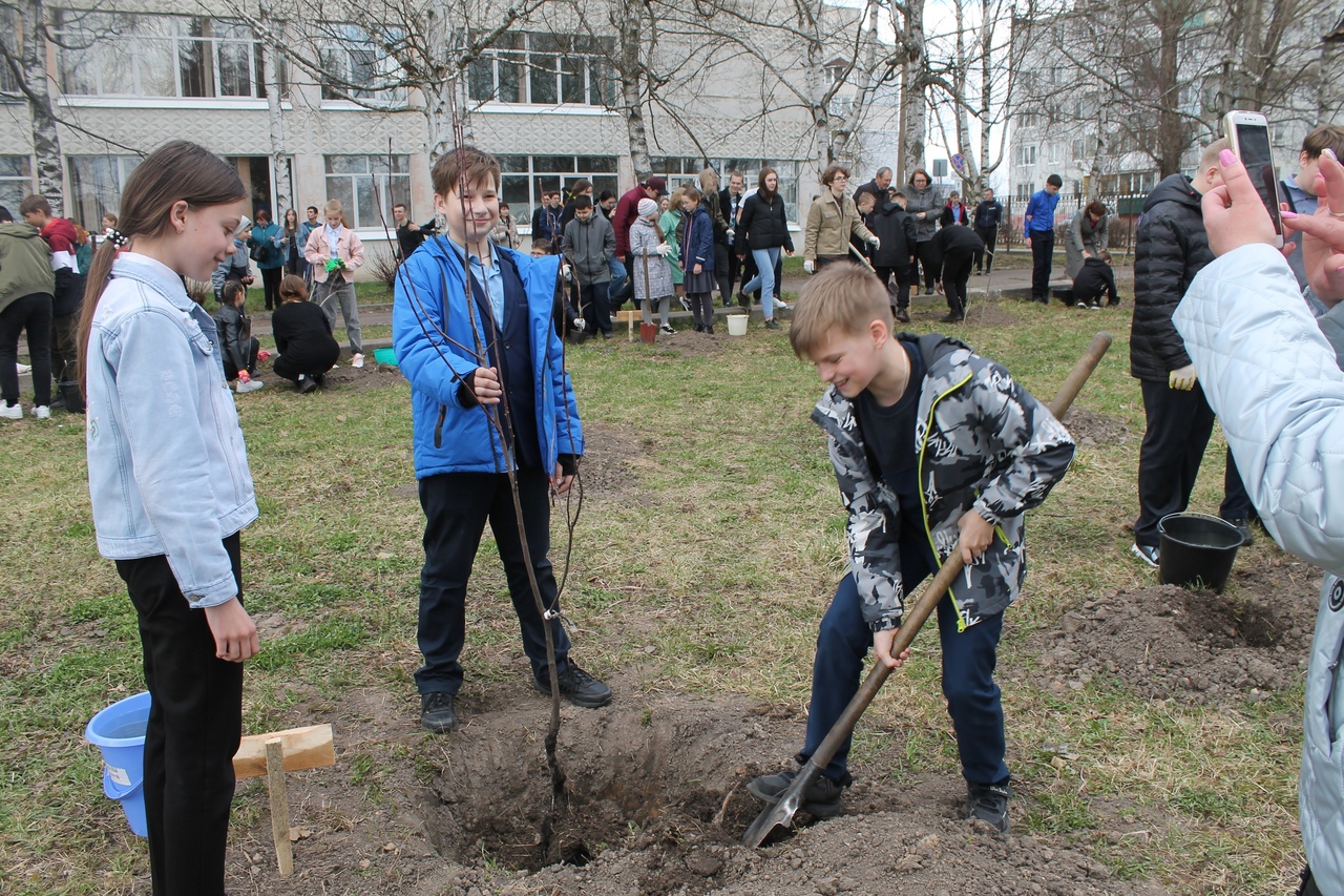Школьный «Сад памяти»