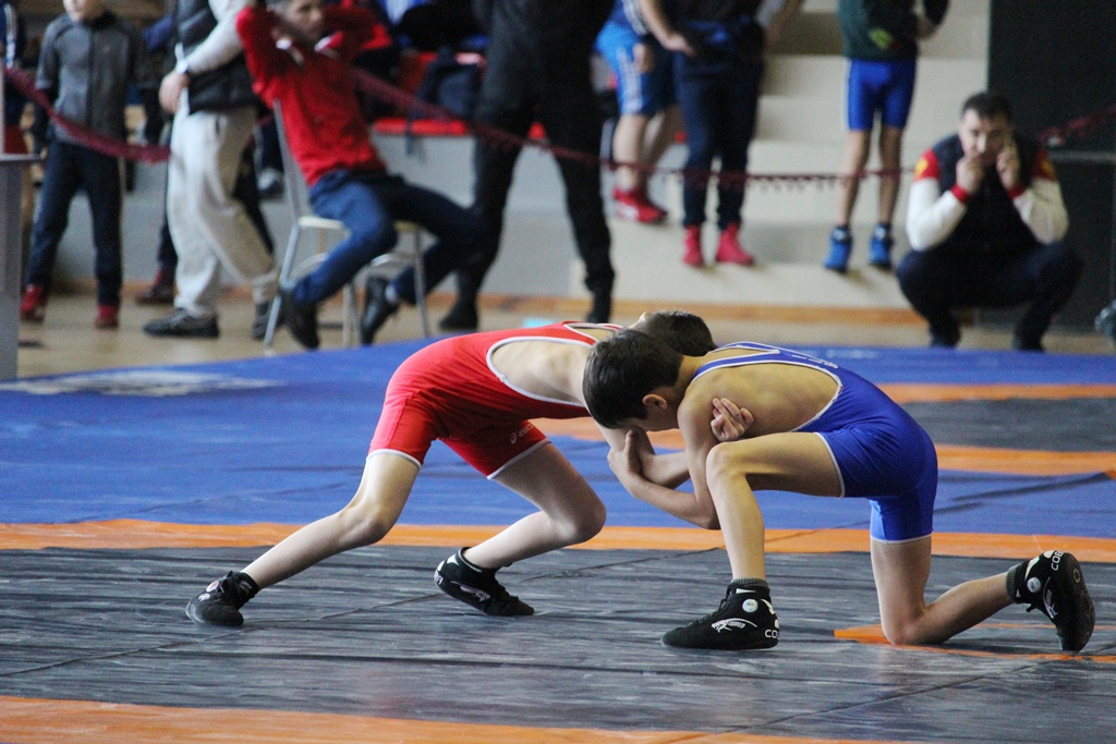 Карачевцы – призеры по спортивной борьбе