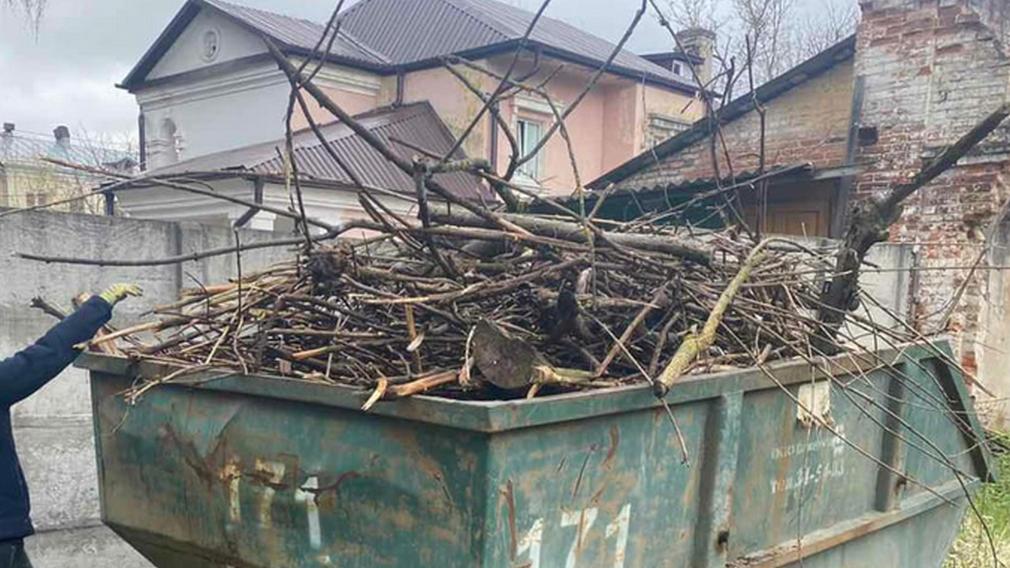 В брянском Ботаническом саду субботник прошел в виде экологической игры