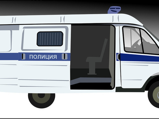 Заявка на митинг протеста в Брянске пришла из-за границы