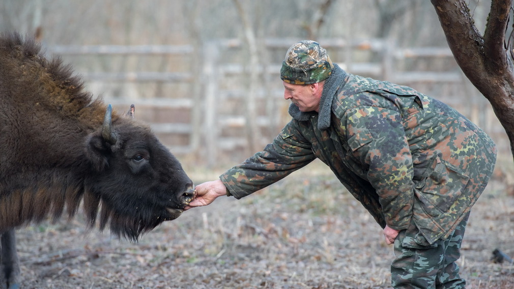 На субботник пригласил всех заповедник «Брянский лес»