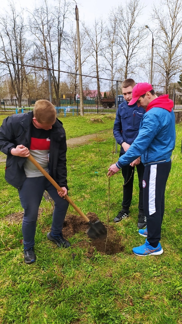 Студенты Карачевского филиала ОГУ имени И.С.Тургенева высадили саженцы рябины