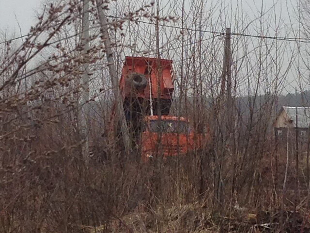 Патруль в кустах