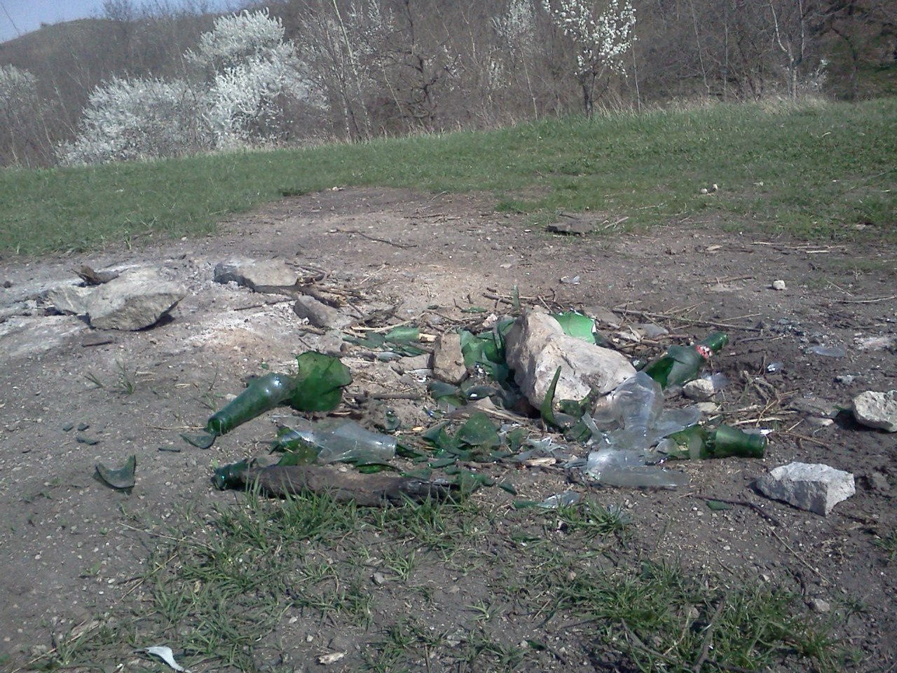 Регламент собственной совести