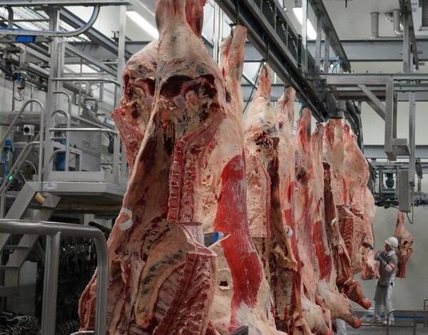 В Брянской области активно реализуется нацпроект «Международная кооперация и экспорт»