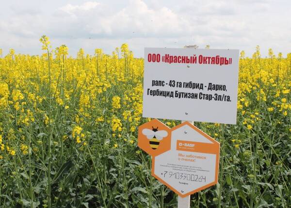 Брянский агропромышленные технологии в тесной взаимосвязи с наукой