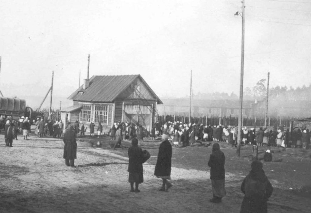 Масштабная экспедиция «Поискового движения России» развернется в Брянске