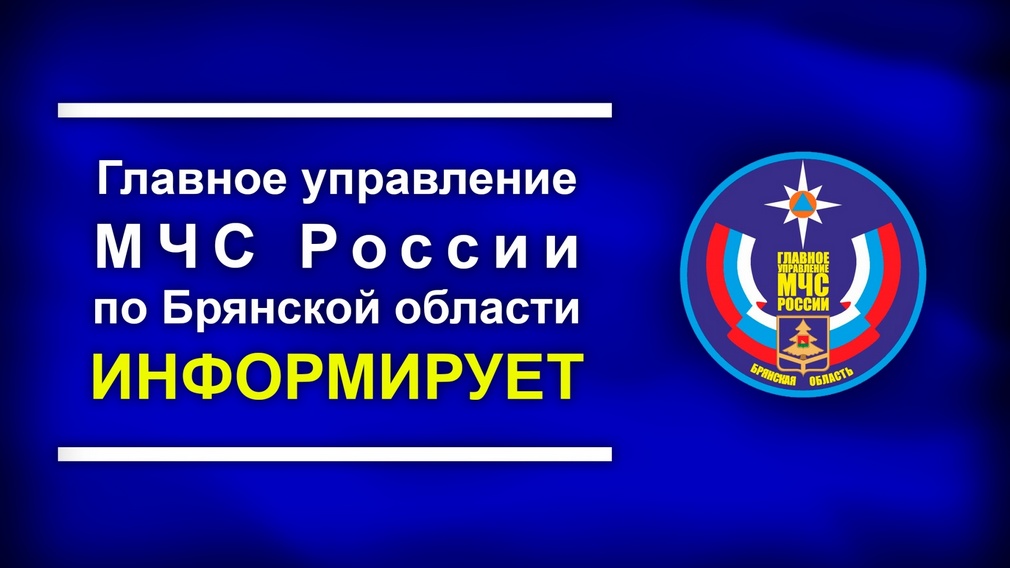 В брянских Выгоничах не обнаружено угрозы распространения аммиака
